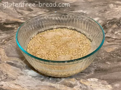 Buckwheat Savory Applesauce Bread