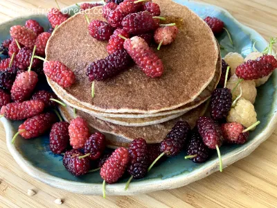 Recipe description:<br> Thanks to the fiber and protein content of buckwheat, these pancakes are not only super delicious but also healthy and filling. They provide sustained energy and satisfaction, making them an excellent choice for a hearty breakfast or brunch. Also you can try non vegan <a href='/recipe-detail/buckwheat-pancakes/'>Buckwheat Pancakes.</a> 