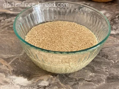 Quinoa PsylliumHusk Chiaseeds Bread