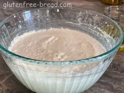 Quinoa PsylliumHusk Chiaseeds Bread